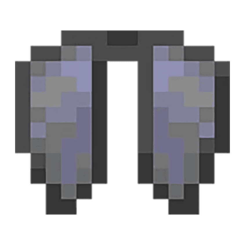 Elytra