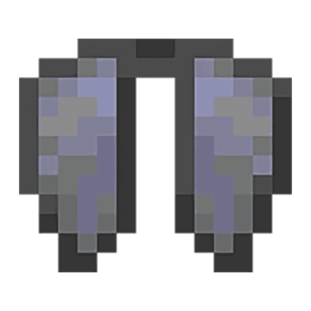 Elytra for DonutSMP